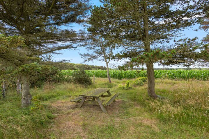 Ferienhaus K6735 in Brunbjergvej 48, Lodbjerg Hede - Bild #42