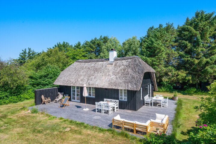 Ferienhaus L6073 in Øhusevej 15, Vedersø Klit - Bild #1