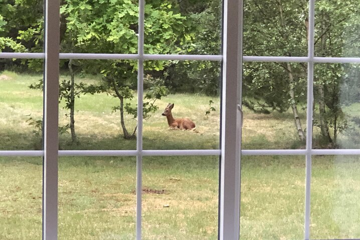 Sommerhus L6105 på Bækbyvej 63, Vester Husby - Billede #6