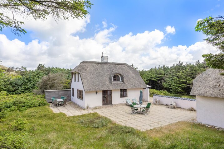 Sommerhus L6117 på Bavnebjergvej 25, Vedersø Klit - Billede #1