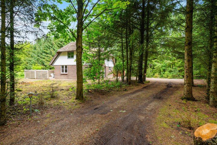 Ferienhaus L6184 in Vester Mosevej 9, Vester Husby - Bild #29