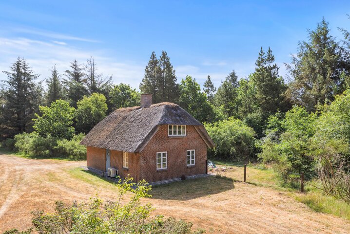 Ferienhaus L6191 in Græmvej 75, Vester Husby - Bild #20