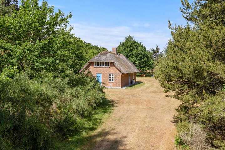 Ferienhaus L6191 in Græmvej 75, Vester Husby - Bild #29