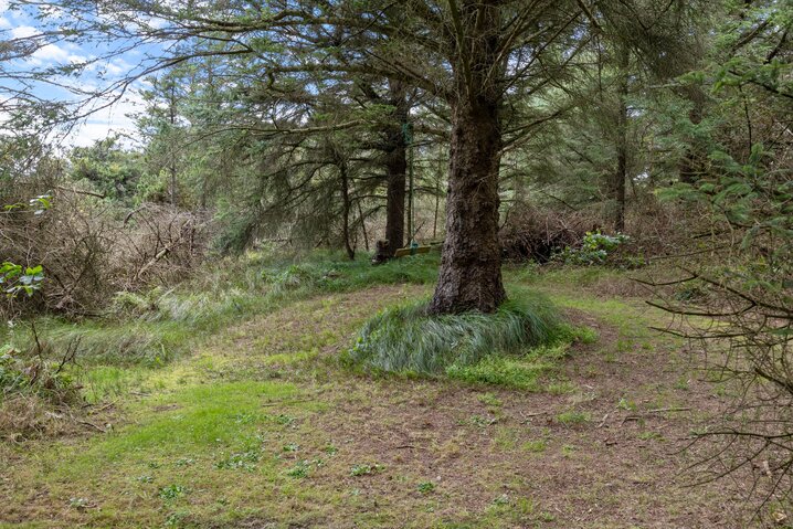 Ferienhaus L6335 in Husby Klitvej 39, Vedersø Klit - Bild #28