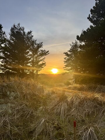Ferienhaus L6349 in Raketvejen 39, Vedersø - Bild #12