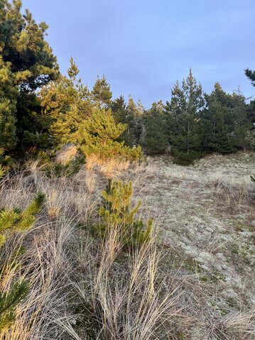 Ferienhaus L6349 in Raketvejen 39, Vedersø - Bild #14