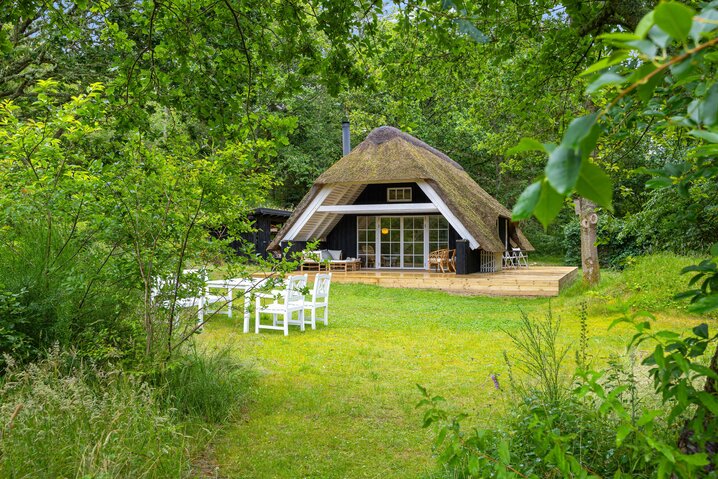 Ferienhaus L6392 in Græmvej 53, Vester Husby - Bild #33