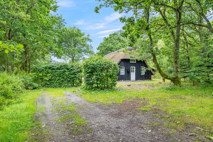 Ferienhaus L6392 in Græmvej 53, Vester Husby - Bild #42