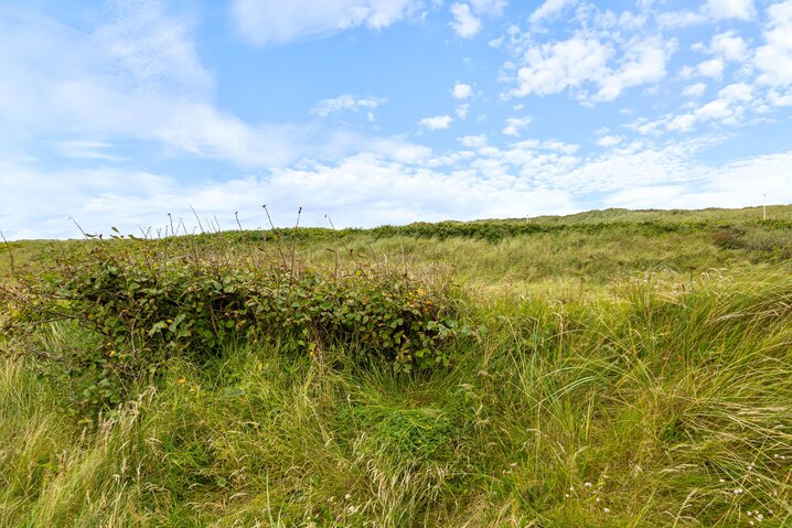 Sommerhus L6395 på Klitvej 48, Fjand - Billede #23