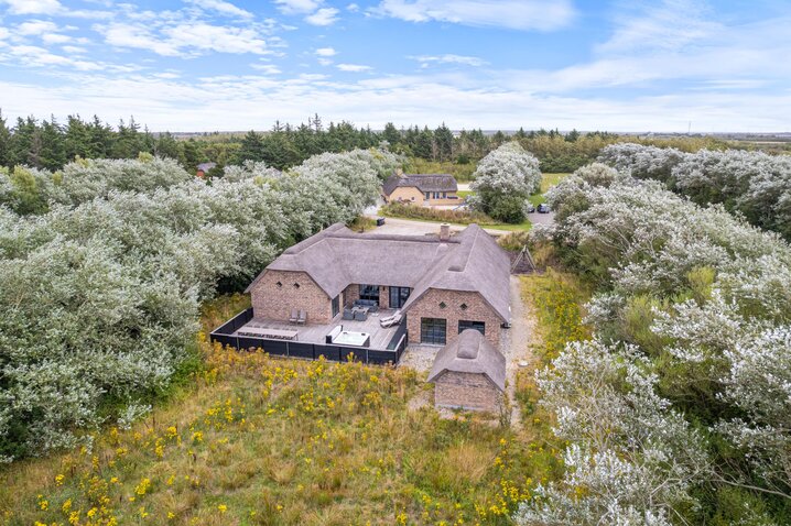 Ferienhaus L6429 in Grævlingevej 17, Vester Husby - Bild #0