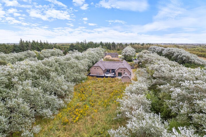 Ferienhaus L6429 in Grævlingevej 17, Vester Husby - Bild #38