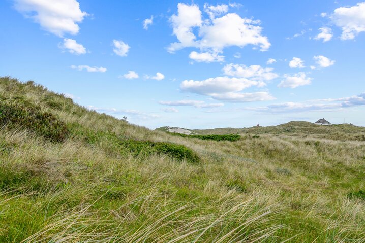 Ferienhaus L6472 in Vedersø Klitvej 23, Vedersø Klit - Bild #43