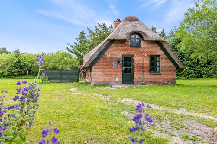 Ferienhaus L6551 in Sundhuse 24, Vedersø Klit - Bild #25