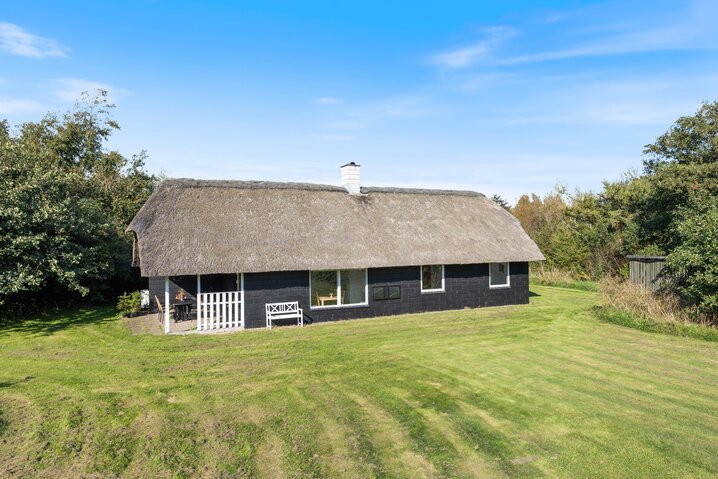 Ferienhaus L6603 in Vester Mosevej 64, Vester Husby - Bild #0