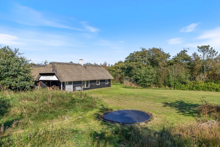 Ferienhaus L6603 in Vester Mosevej 64, Vester Husby - Bild #20