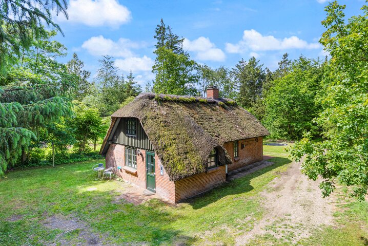 Ferienhaus L6617 in Vester Mosevej 15, Vester Husby - Bild #29