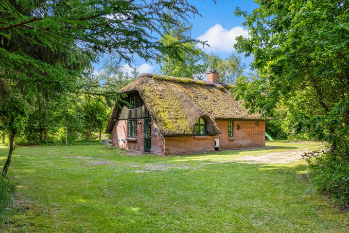Ferienhaus L6617 in Vester Mosevej 15, Vester Husby - Bild #32
