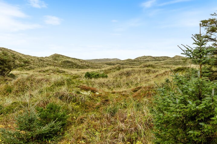 Sommerhus L6620 på Husby Klitvej 37, Vedersø Klit - Billede #25