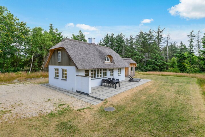 Sommerhus L6883 på Øhusevej 28, Vedersø Klit - Billede #19