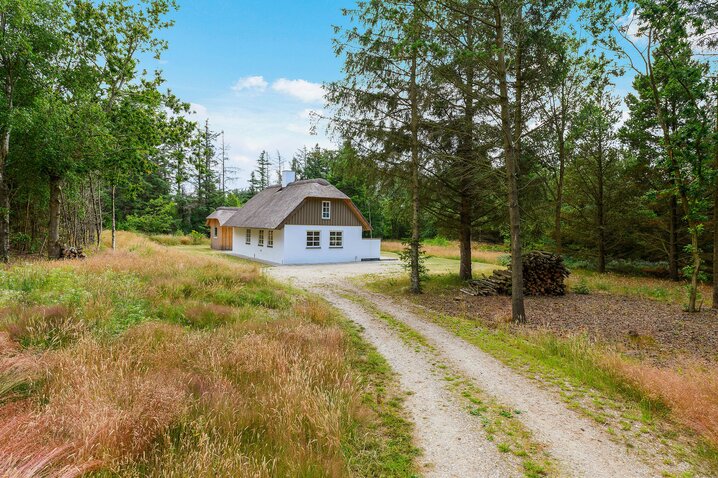 Sommerhus L6883 på Øhusevej 28, Vedersø Klit - Billede #21