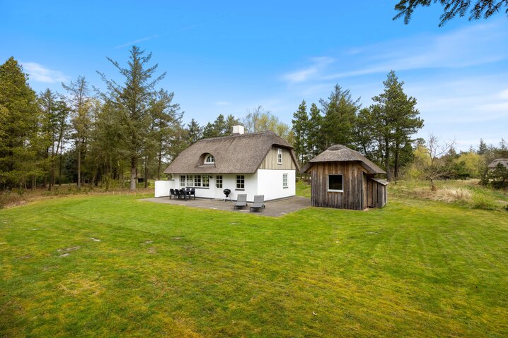 Ferienhaus L6883 in Øhusevej 28, Vedersø Klit - Bild #0