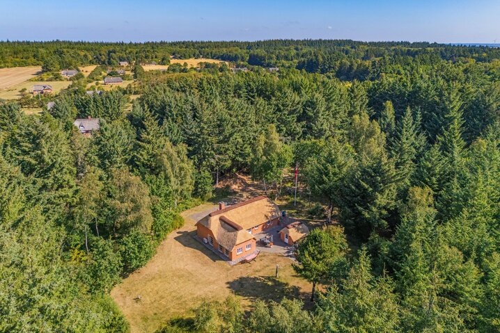 Ferienhaus LL1021 in Svollingvej 48B, Vester Husby - Bild #36