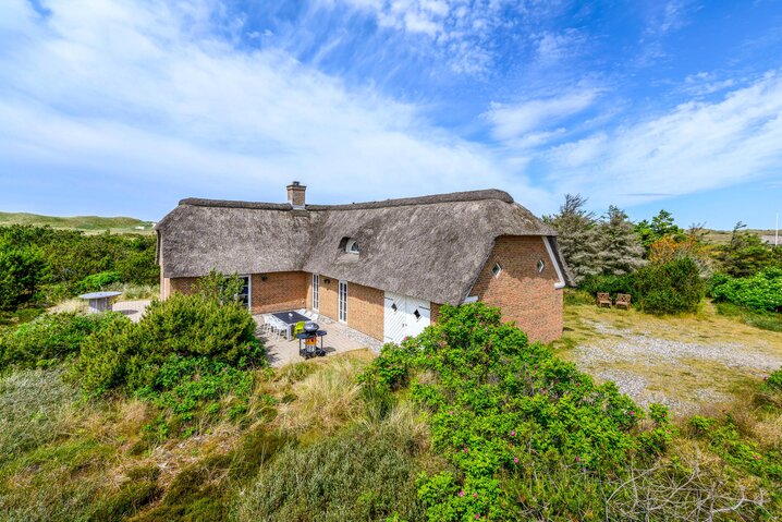 Ferienhaus LL1123 in Kjærgaardvej 145, Vester Husby - Bild #0