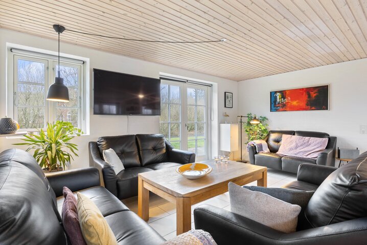 Ferienhaus LL1125 in Dommersøvej 33, Vester Husby - Bild #1