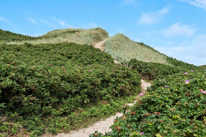 Ferienhaus i6199 in Lodbergsvej 41, Søndervig - Bild #17