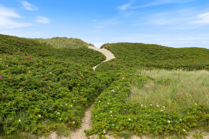 Ferienhaus i6576 in Hafavej 37, Søndervig - Bild #33
