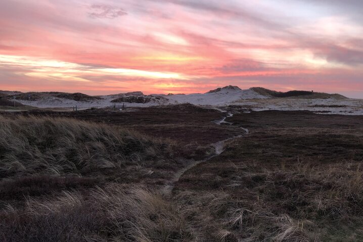 Sommerhus i6834 på Jens Jensens Vej 64, Søndervig - Billede #46