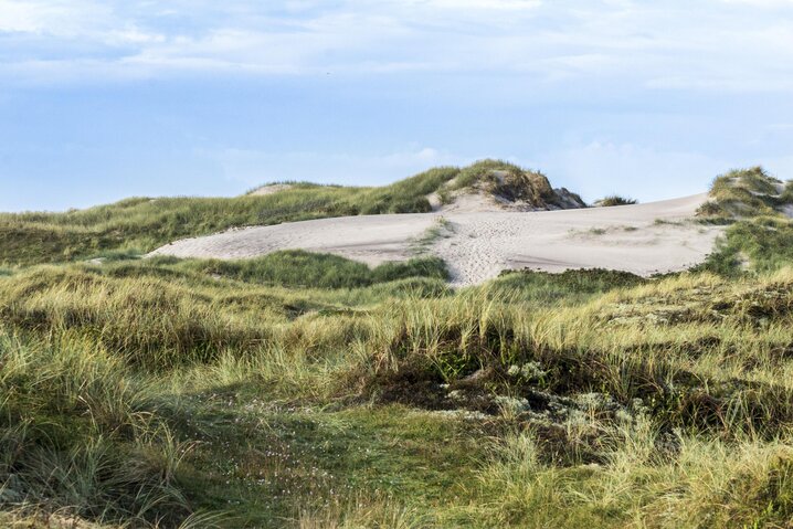 Sommerhus i6861 på Harbo Stages Vej 31, Søndervig - Billede #52