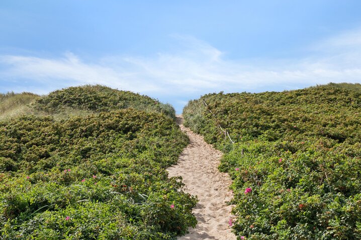 Ferienhaus i6891 in Lodbergsvej 253A, Søndervig - Bild #30