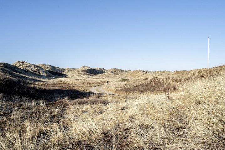 Ferienhaus i6962 in Sand Holms Vej 47, Søndervig - Bild #20