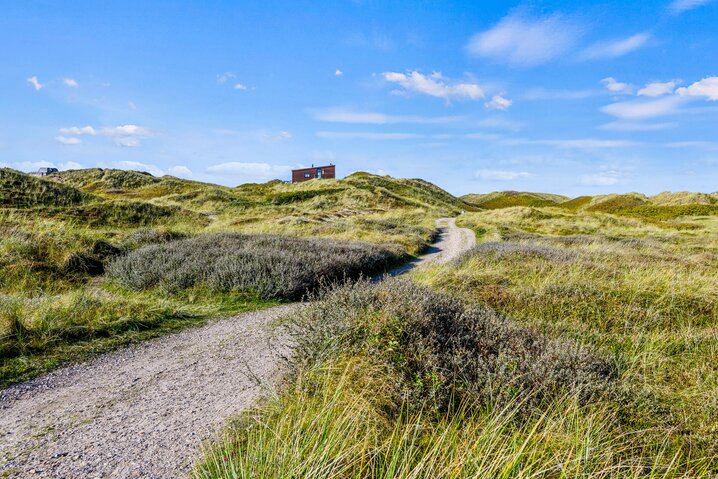 Ferienhaus iW1150 in Anders Juhls Vej 25, Søndervig - Bild #19