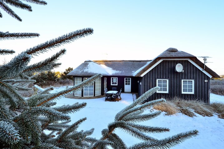 Ferienhaus iW1179 in Jens Jensens Vej 36, Søndervig - Bild #34