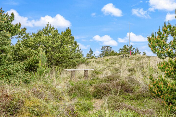 Sommerhus ii1001 på Marehalmen 9, Søndervig - Billede #27