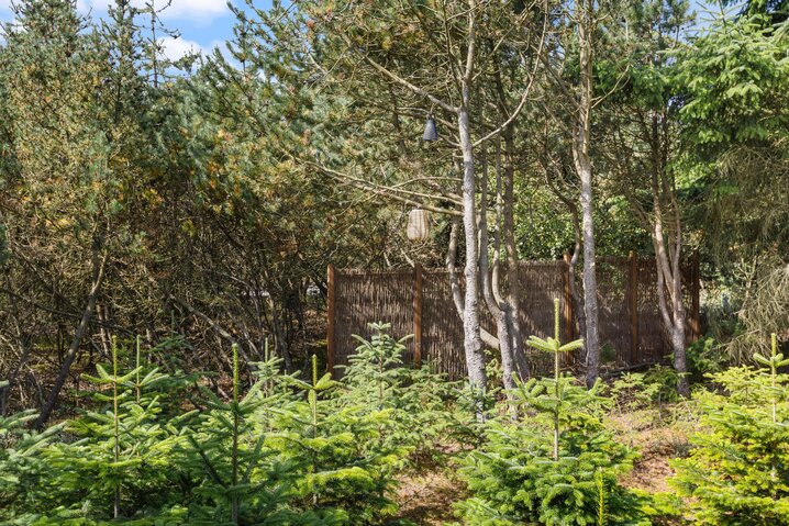 Sommerhus ii1025 på Lyngen 27, Søndervig - Billede #35