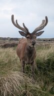 Besuch am Sommerhaus