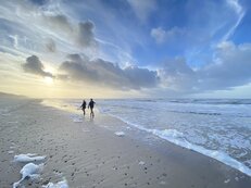 Eftermiddagssolen ved Vesterhavet