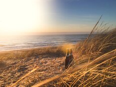 Mein Tuborg und das Meer