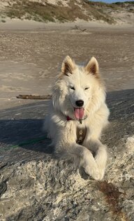 Nita am Strand von Søndervig