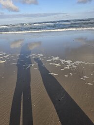 Schattenspiel