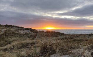 Solnedgang Søndervig Strand